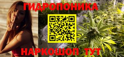 дурь Берёзовский