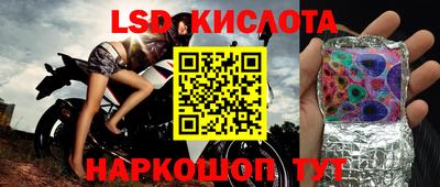 дурь Берёзовский