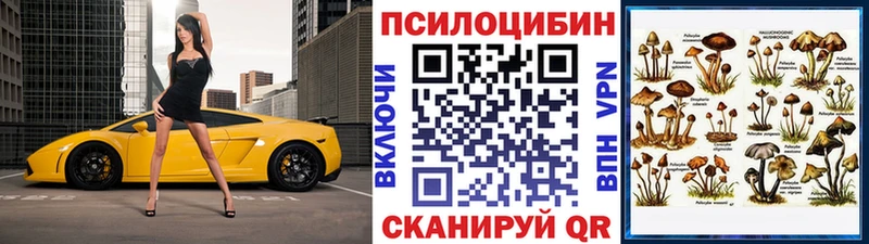 OMG ТОР  Волжск  Галлюциногенные грибы ЛСД 