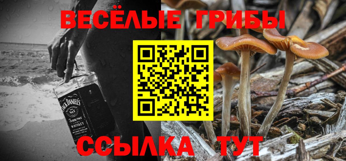 что такое   Псилоцибиновые грибы Magic Shrooms  Вход с VPN  Волжск 